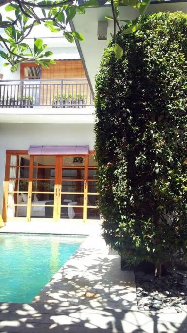 Sonti Villa Σεμινιάκ Εξωτερικό φωτογραφία